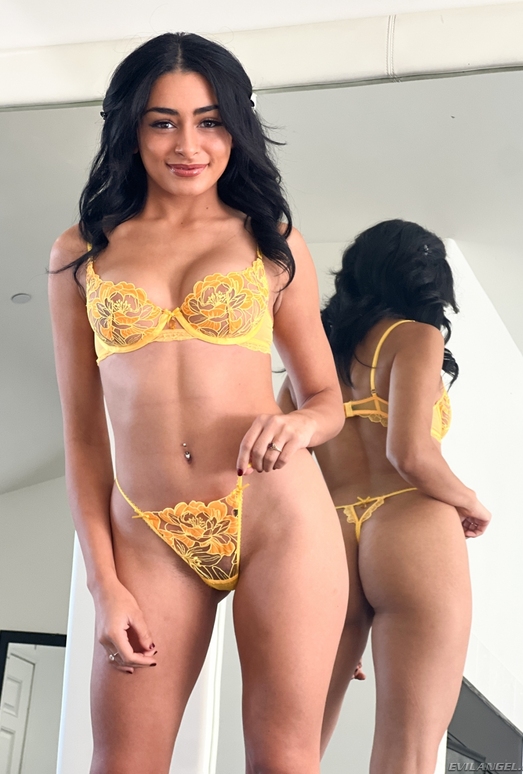 Vanessa Moon: Big Cock BJ & POV Fuck - Evil Angel