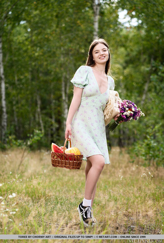 Toree - Sexy Picnic - MetArt