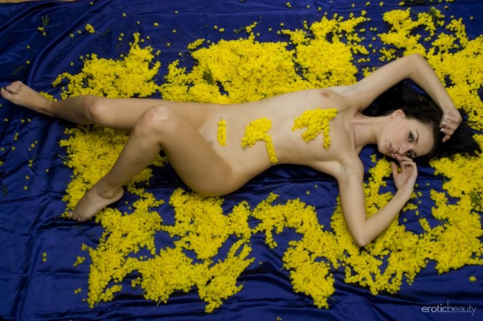 Nicollet - Mellow Yellow - Erotic Beauty