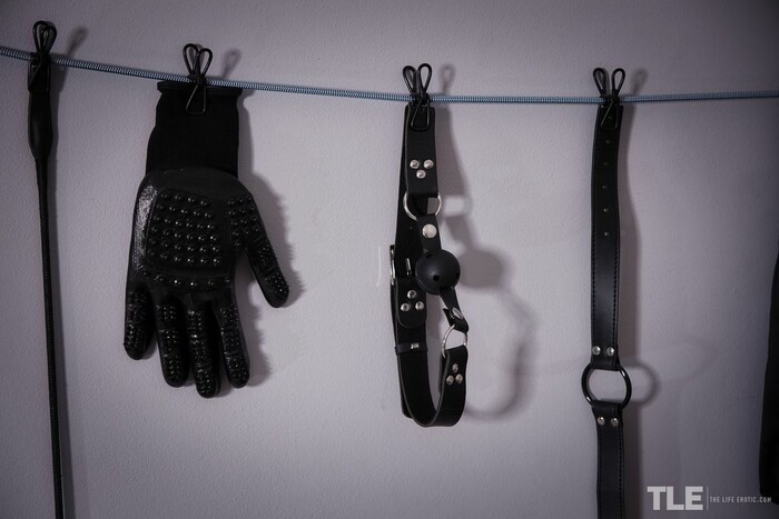 Fibi Euro - Kinky Night 1 - The Life Erotic